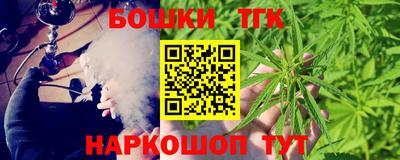 a pvp Камышлов