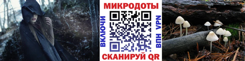 Галлюциногенные грибы прущие грибы  Сызрань 