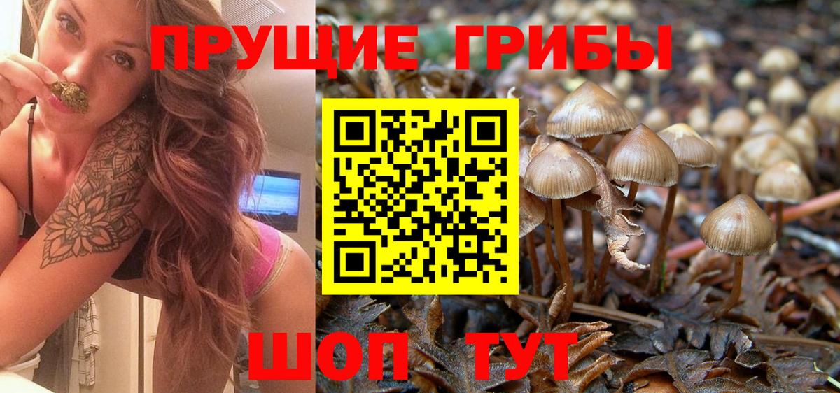 Галлюциногенные грибы мицелий Сызрань